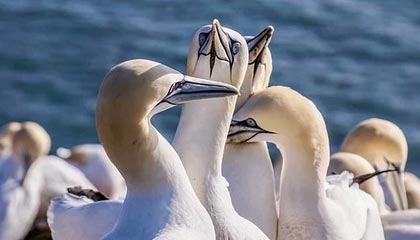 B体育平台_ 中国U23国家队的战术演练与备战策略，中国u23名单