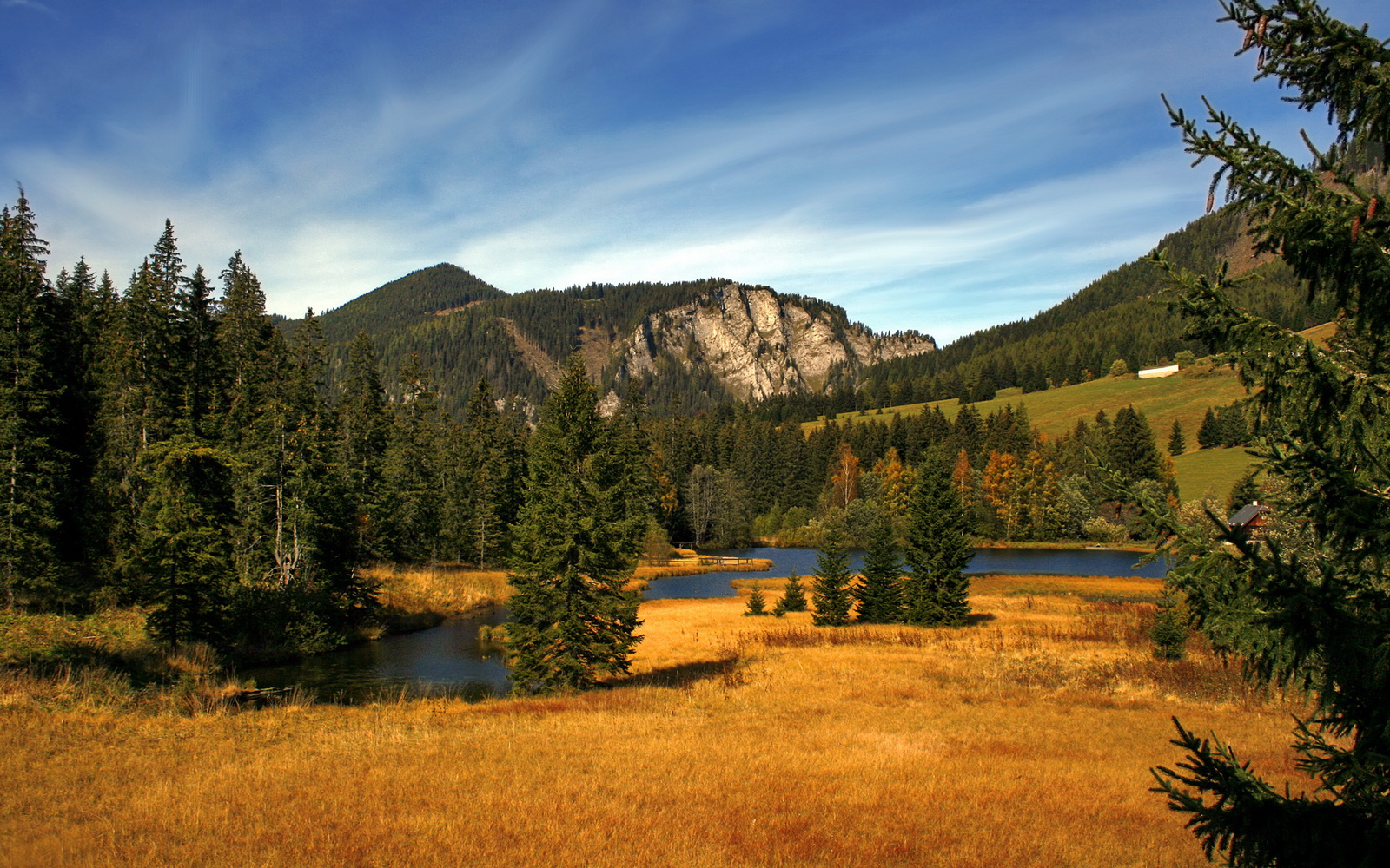 _瞭望者锦标赛:风景与运动的完美融合_,万国觉醒金武将