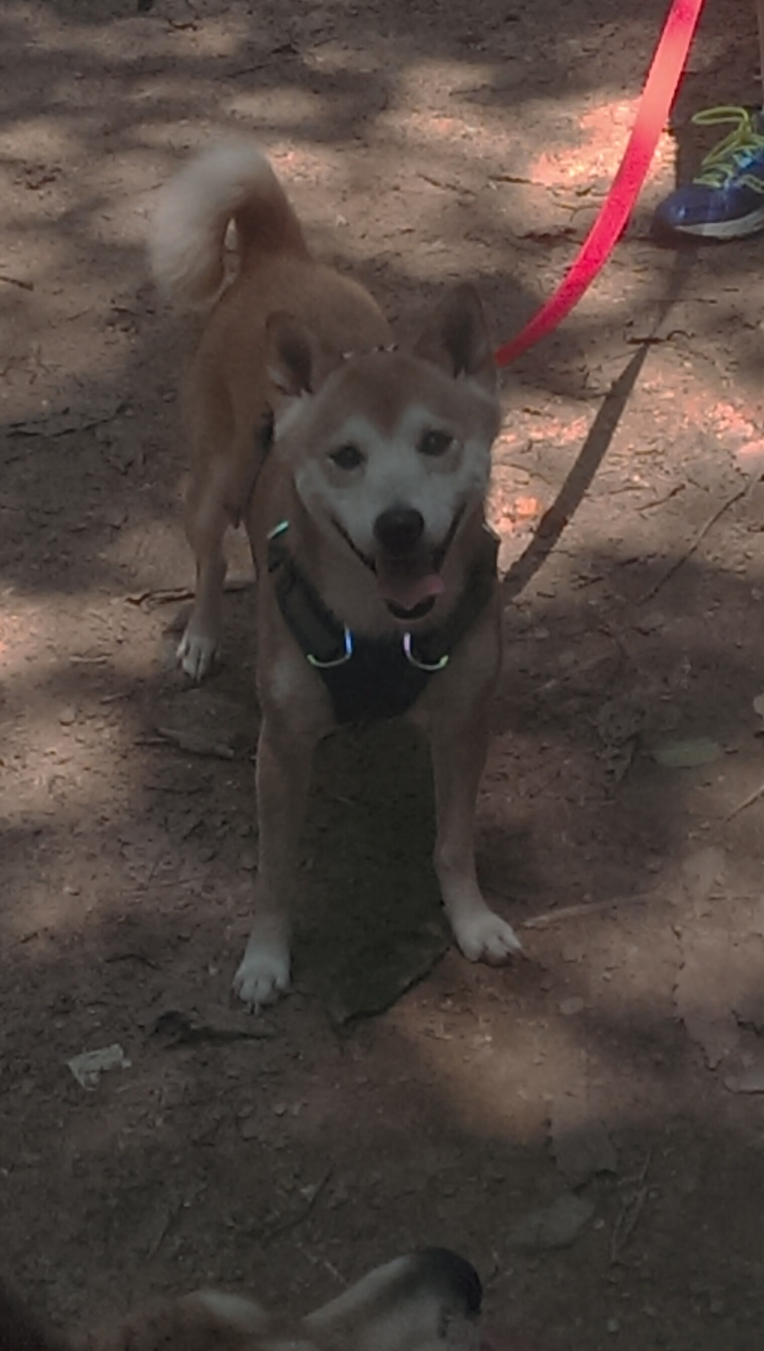 《电竞公益：用游戏传递爱心与温暖》，电竞公益活动