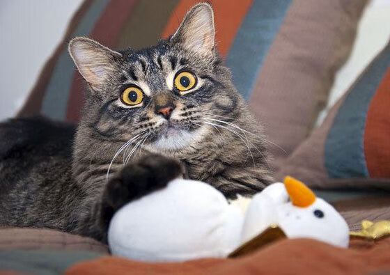 B体育-【青训成长】年轻运动员模仿丁俊晖经典训练动作，长得像丁俊晖