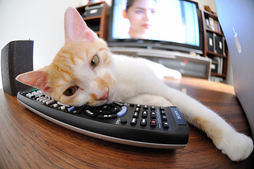 篮球场馆设备智能维护系统投入使用，智能篮球场管理系统