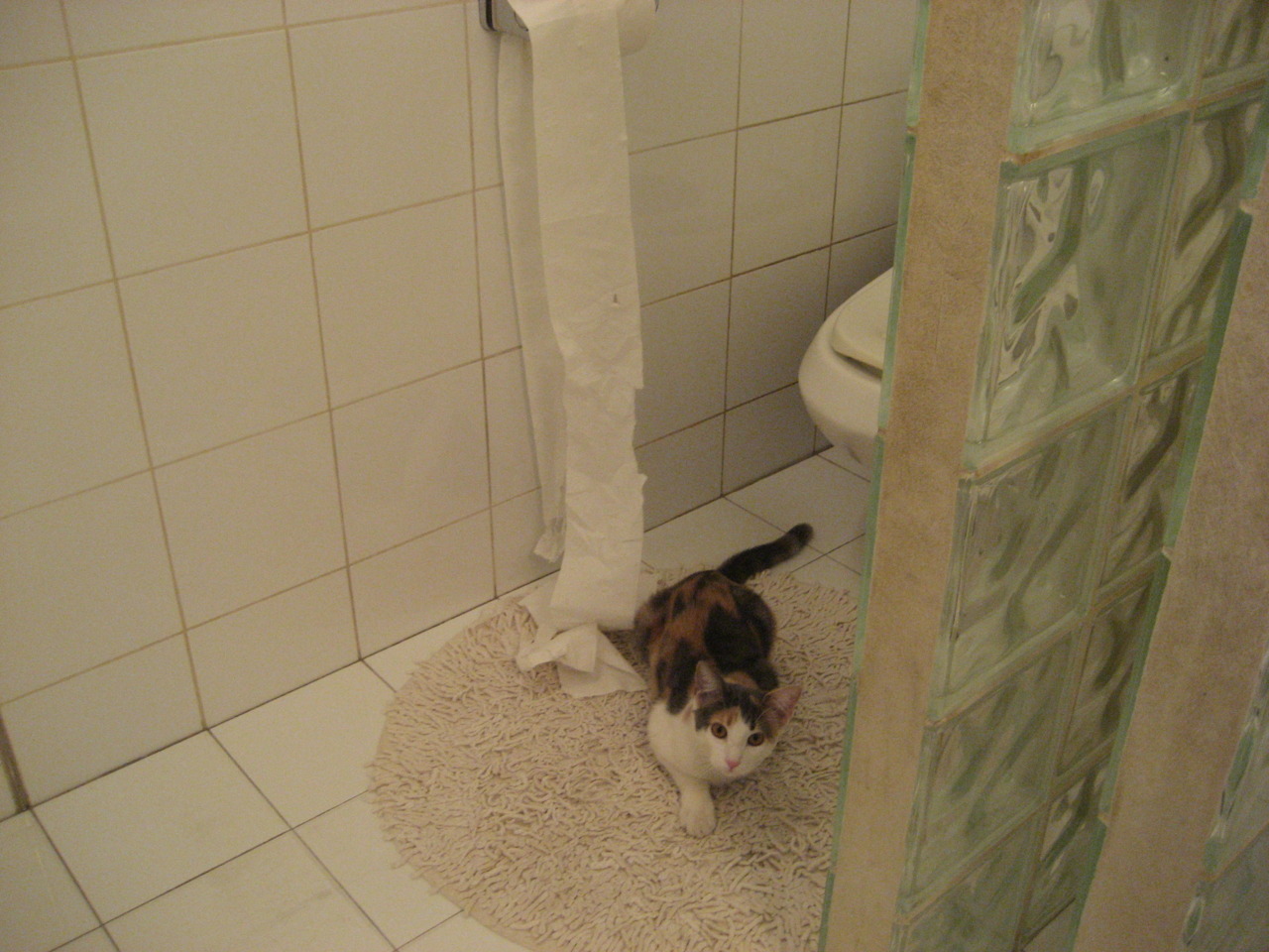 欧锦赛热门球队出局,黑马崛起引发国内球迷关注,欧锦赛战果