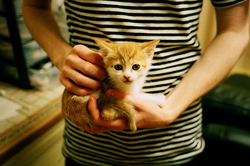 B体育下载-波黑对决芬兰，欧洲国家联赛升降级悬念难解，波黑4_1芬兰