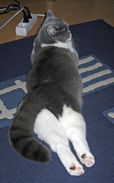 b体育平台-阿根廷小将成为全场最佳，阿根廷小将成为全场最佳球员