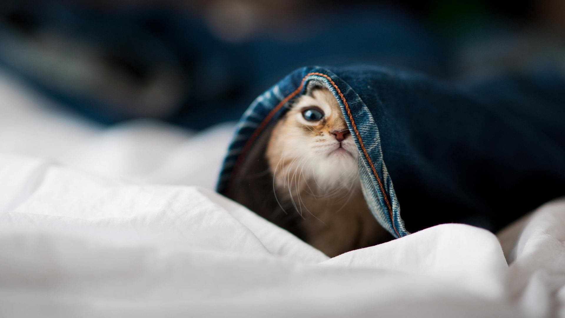 中超战平奥预赛 中国足球陷入调整期,中超赛程预案曝光