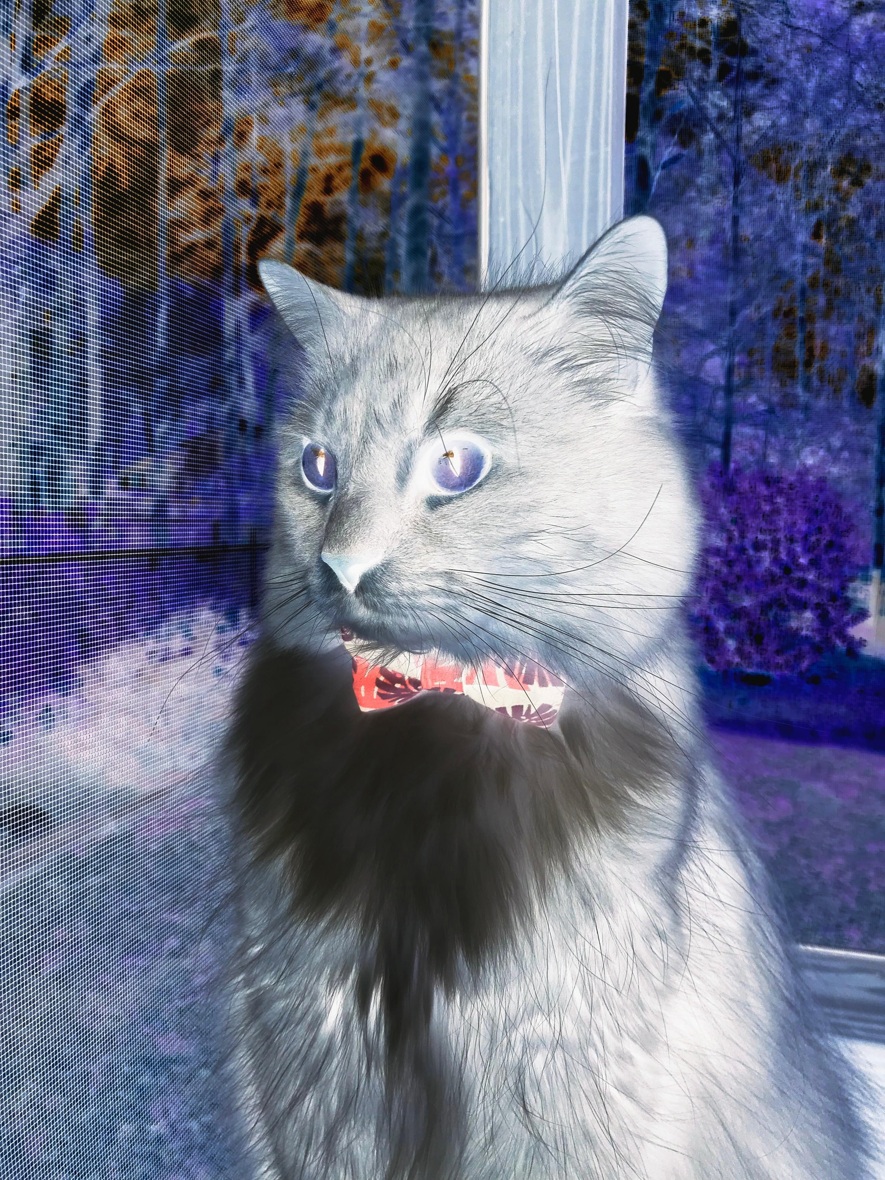 二次进攻效率提升最快的球队,二次进攻14秒