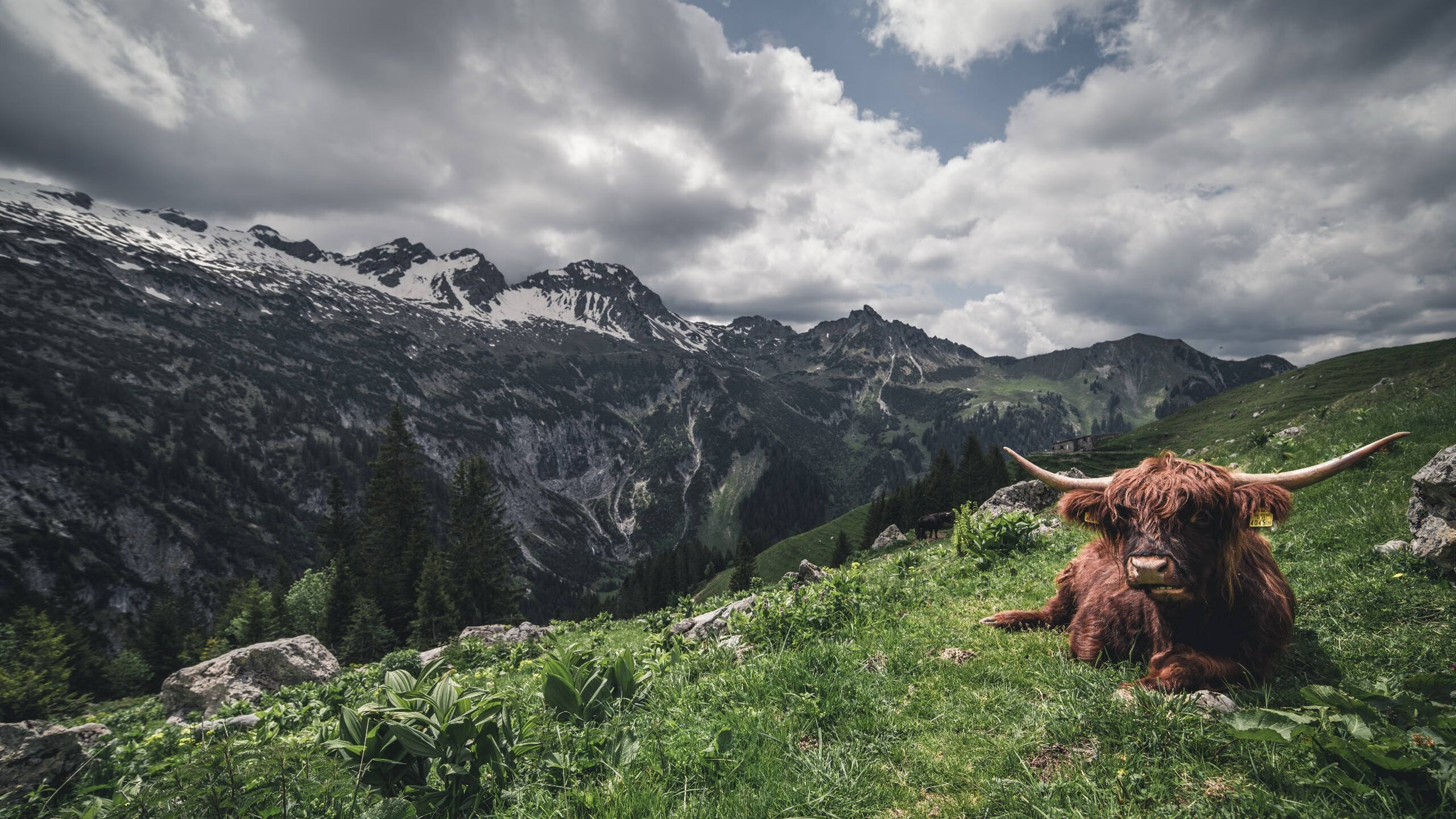 印度乒乓赛制：技术提升与国际化接轨的双重挑战，印度乒乓一哥