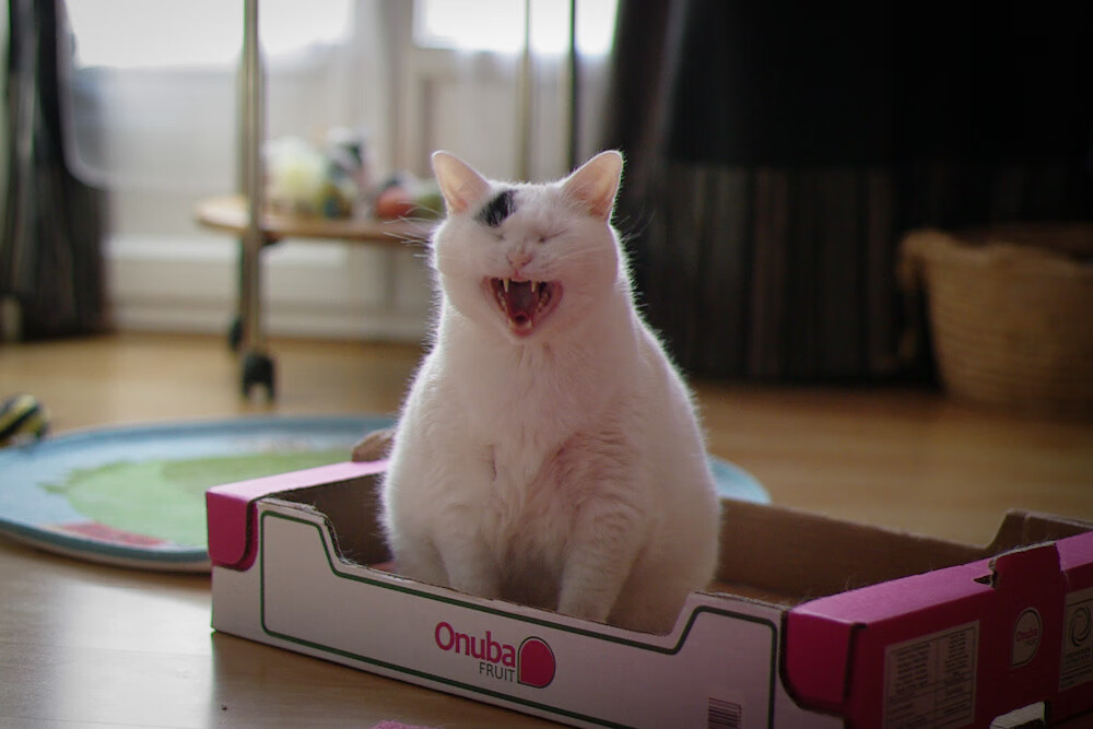 b体育APP-德甲高光时刻：开场即热，精彩谁与争锋，德甲出场纪录排行前20