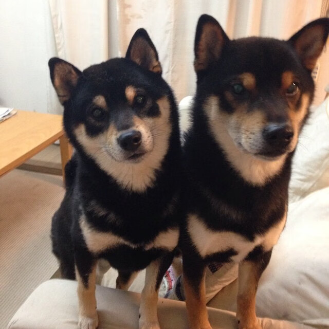 李冰洁冲刺阶段表现令人惊艳,李冰洁训练视频