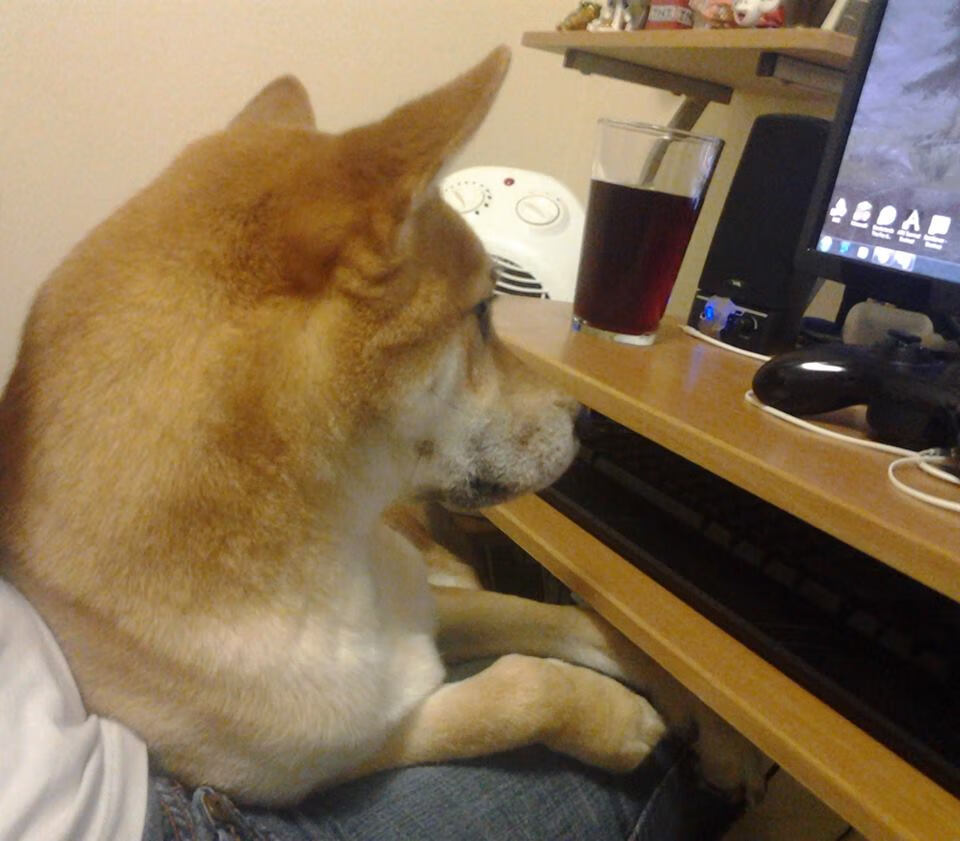 B体育(CHINA)官方网站-男子篮球国家队着力提高球员防守覆盖范围，国际男篮防守有3秒规定么